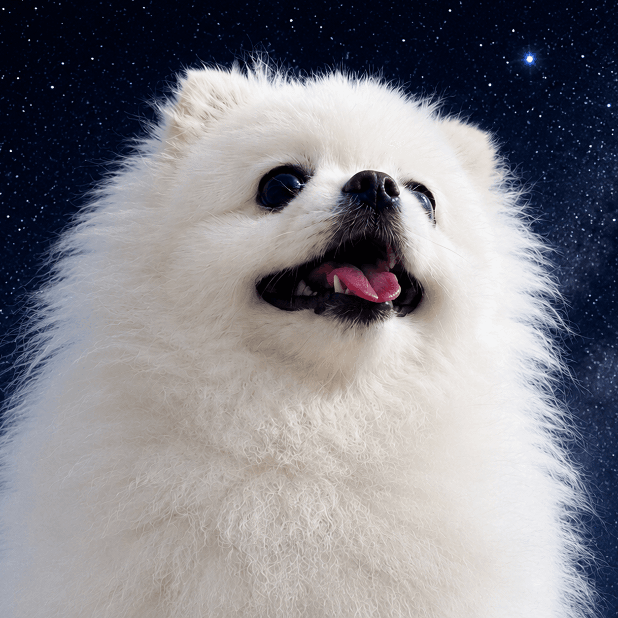 별의 시선