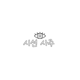 시선 사주